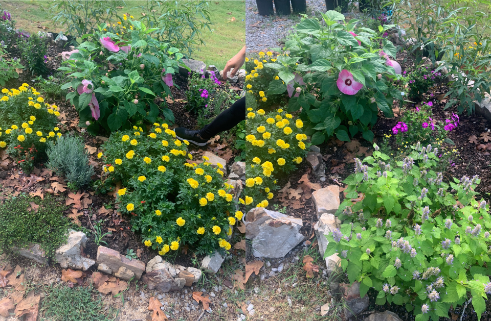 sld3 landscaping services