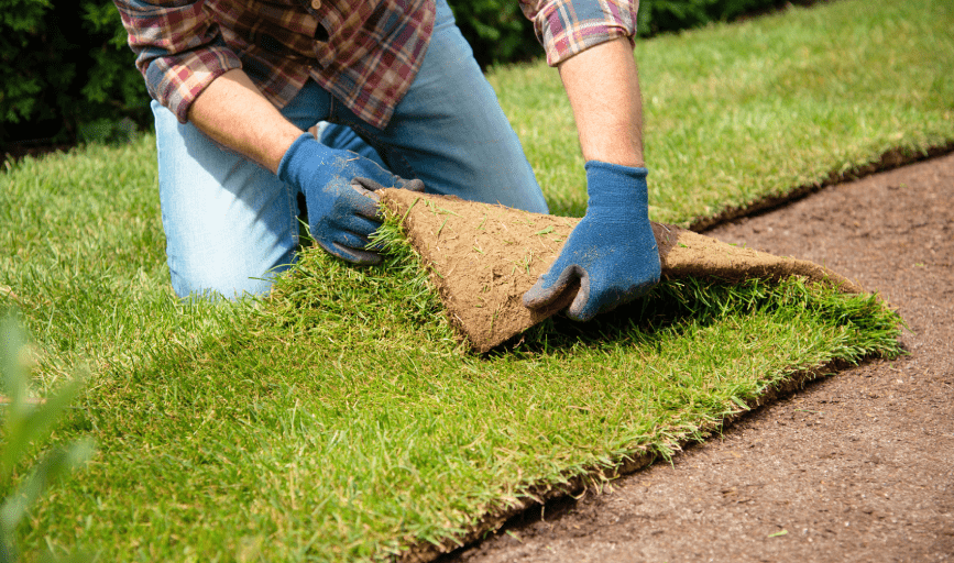 SOD INSTALLATION