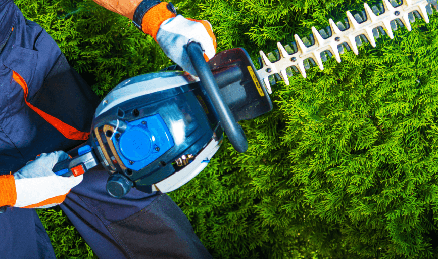 TREE TRIMMING